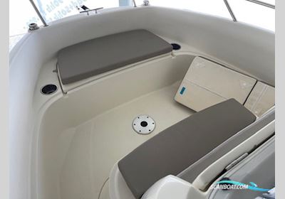 Quicksilver 505 Open Med Mercury F80 Efi Elpt Motorboat 2019, with Mercury engine, Denmark