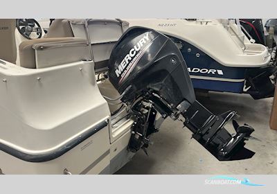 Quicksilver Activ 455 Cabin Motorboat 2017, with Mercury 30 hk 4-Takt engine, Denmark