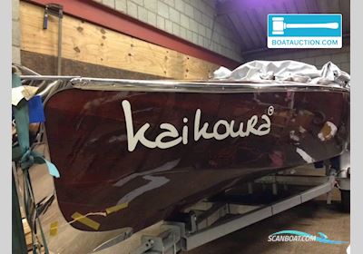 Rascal Runabout Motorboat 2016, with Honda engine, The Netherlands