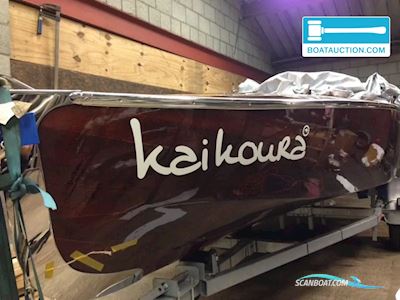 Rascal Runabout Motorboat 2016, with Honda engine, The Netherlands