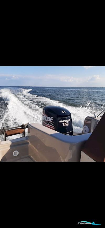 Renken 220 Motorboat 2006, with Evenrude engine, The Netherlands