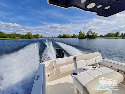 Robalo Center Console R222 Motorboat 2016, with mercury engine, The Netherlands