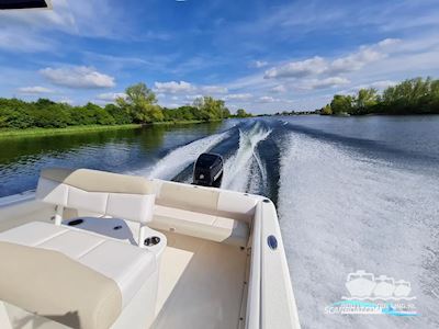 Robalo Center Console R222 Motorboat 2016, with mercury engine, The Netherlands