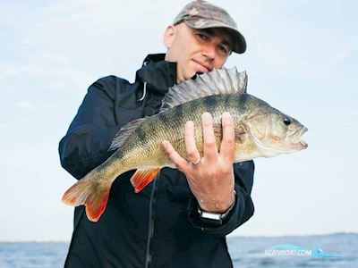 Ryds 398VI Jolle Med 2,5 hk Mercury 4 Takt - Udstillingsbåd Motorboat 2024, Denmark