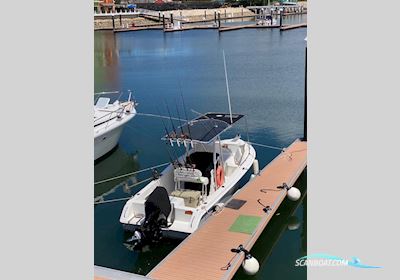 Sea Hunt 22 Motorboat 2006, with SUZUKI engine, No country info