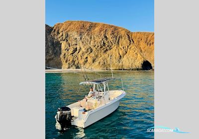 Sea Hunt 22 Motorboat 2006, with SUZUKI engine, No country info