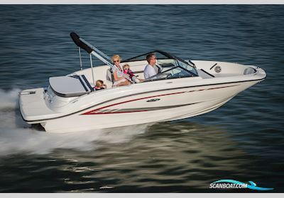Sea Ray 19 SPX Motorboat 2016, The Netherlands