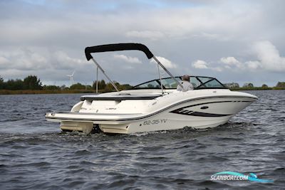 Sea Ray 19 SPX Motorboat 2016, The Netherlands