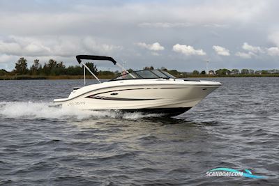 Sea Ray 19 SPX Motorboat 2016, The Netherlands