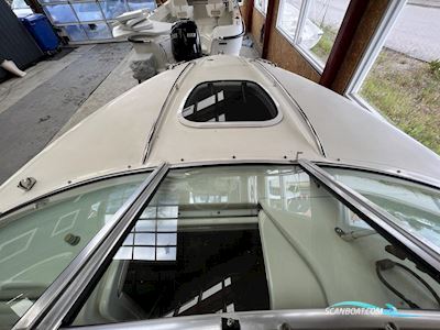 Sea Ray 220 Sun Sport Motorboat 2008, Denmark