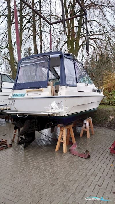 Sea Ray 250 DA Motorboat 1986, with Volvo Penta engine, Germany