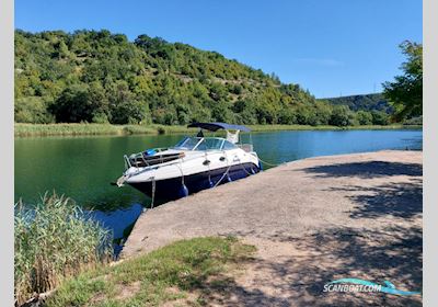 Sea Ray 255 Sundancer Motorboat 2011, with Mercnruiser V8 Benzin 350 MAG engine, Germany