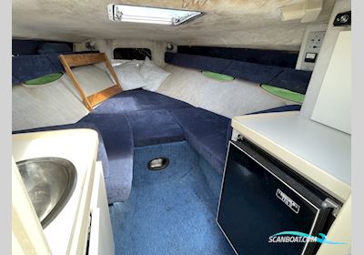 Sea Ray 260 OR Motorboat 1990, The Netherlands