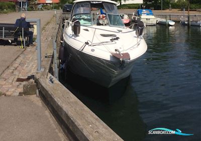 Sea Ray 335 Sundancer Motorboat 2009, with Yanmar. 6Lpa.  6 Cylinder. 2+315 HK. engine, Denmark