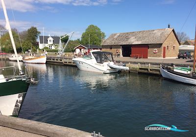 Sea Ray 335 Sundancer Motorboat 2009, with Yanmar. 6Lpa.  6 Cylinder. 2+315 HK. engine, Denmark