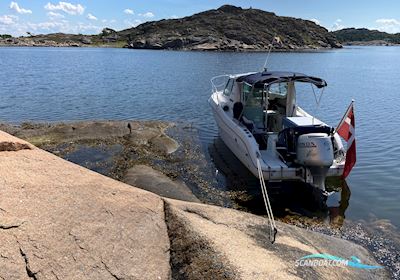 Sessa Ocean 650 Motorboat 2000, with Honda engine, Denmark