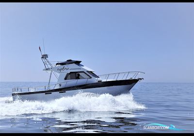 Teaser 31 Sport Motorboat 1994, with Volvo Penta engine, Portugal