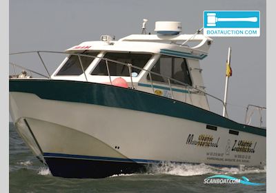 Teaser 31 Motorboat 1991, with Sole engine, Belgium