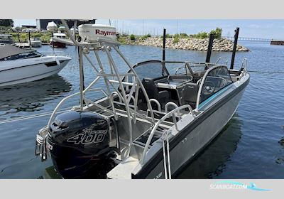 Viggo X8 Motorboat 2018, with Mercury engine, Sweden
