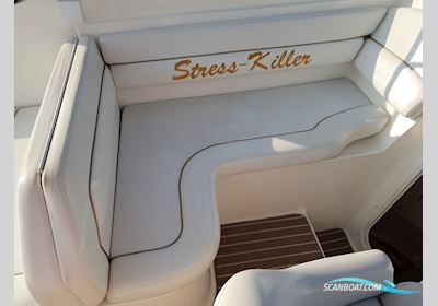 Wellcraft 2600 Martinique Motorboat 2000, The Netherlands
