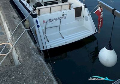 Wellcraft Antiqua 29 Motorboat 1988, with Mercruiser engine, Denmark