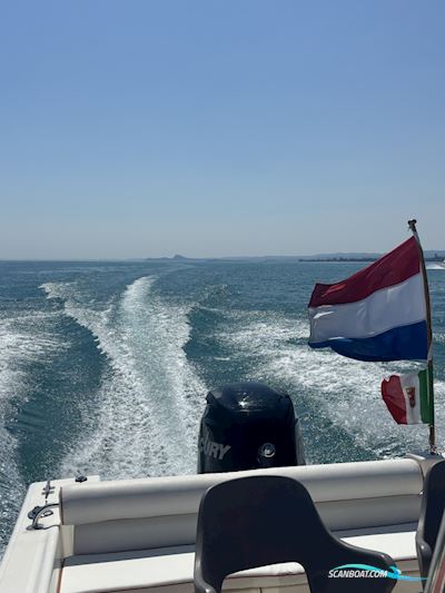 White Shark 205 Motorboat 2001, with Mercury  engine, The Netherlands