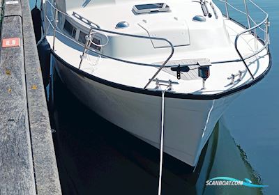 Albin 30 AC Motorboot 1979, mit Perkins HT6354 motor, Dänemark