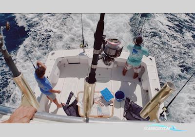 Apex Yachts Quepos 350 Motorboot 2018, mit CUMMINS motor, Keine Länderinfo