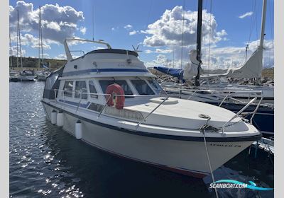 Apollo 30 Flybridge Motorboot 1978, mit Volvo Penta  motor, Dänemark