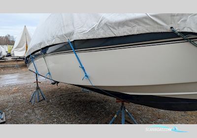 Askeladden C62 Cruiser Motorboot 2011, mit Suzuki motor, Sweden