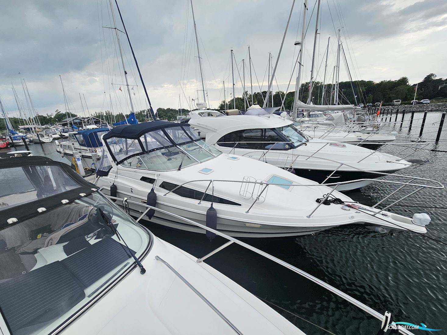 Bayliner 2855 Ciera Motorboot 1998, mit Mercruiser motor, Dänemark