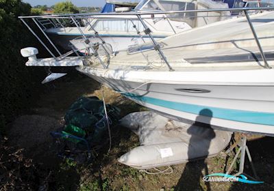 Bayliner 3055 Motorboot 1993, mit Mercruiser motor, Dänemark