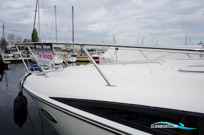 Bayliner 315 Sunbridge Motorboot 2009, mit Mercruiser motor, Niederlande