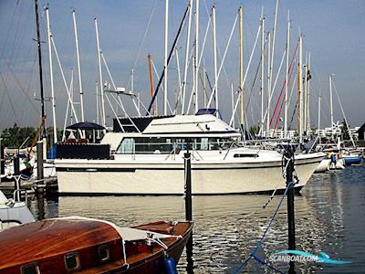Bayliner 4050 Bodega Motorboot 1979, mit Detroit 6 Cyl. motor, Dänemark