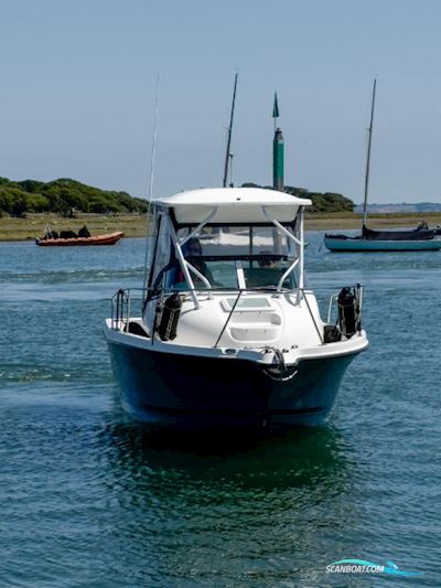 Bayliner Trophy 2102 walkaround Motorboot 2011, mit Mercury motor, England