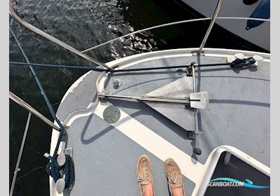 Birchwood 33 Motorboot 1975, mit Volvo TD 70G motor, Dänemark