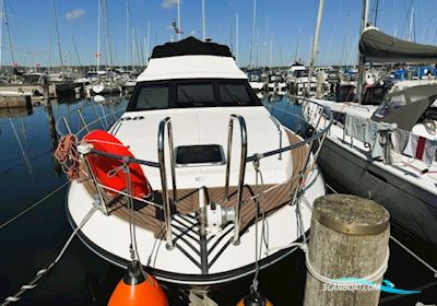 Birchwood 37 TS Fly Motorboot 1987, mit Nanni NT4 230 Marine Diesel motor, Dänemark