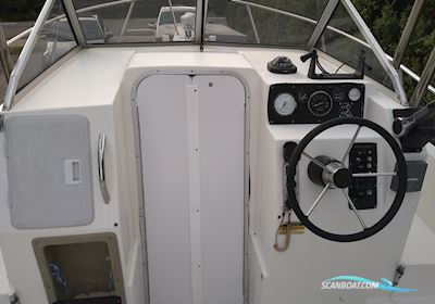 Campion Explorer 622 WA Outboard Motorboot 1998, mit Honda motor, Dänemark