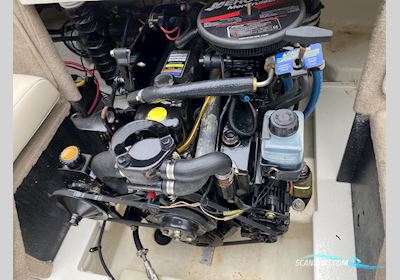 Chaparral 180 SSI Motorboot 2005, mit Mercruiser motor, Niederlande