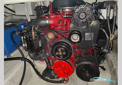 Cobrey 250 SC Motorboot 2006, mit Volvo Penta motor, Spanien