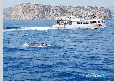 Commercial Catamaran Motorboot 1995, mit Man motor, Spanien