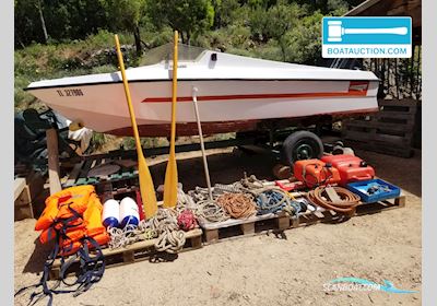 Cormorant Fury 425 Motorboot 1975, mit Force motor, Frankreich