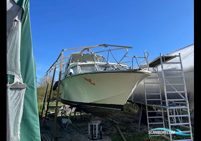 Coronet 32 Oceanfarer - NEDSAT Motorboot 1971, mit Ford motor, Dänemark
