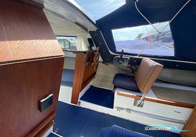 Crescent 525 Motorboot 1980, mit Mercury F20Ept motor, Dänemark