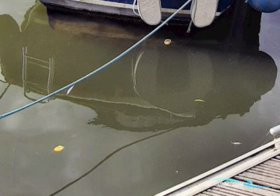 Elegant 800 Vlet Motorboot 2001, mit Yanmar motor, Belgien