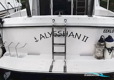 Fairline 40 Flybridge Motorboot 1987, mit Volvo Penta TAMD motor, Niederlande