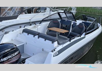 Falcon BR 6 Motorboot 2018, mit Mercury motor, Sweden