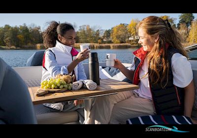 Flipper 650 DC Motorboot 2023, mit Mercury motor, Sweden