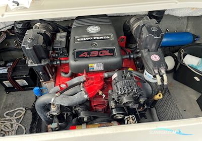 Glastron GT 185 Motorboot 2007, mit Volvo Penta motor, Dänemark