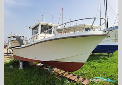 Good Go TF 240 Motorboot 1999, mit Volvo Penta motor, Portugal